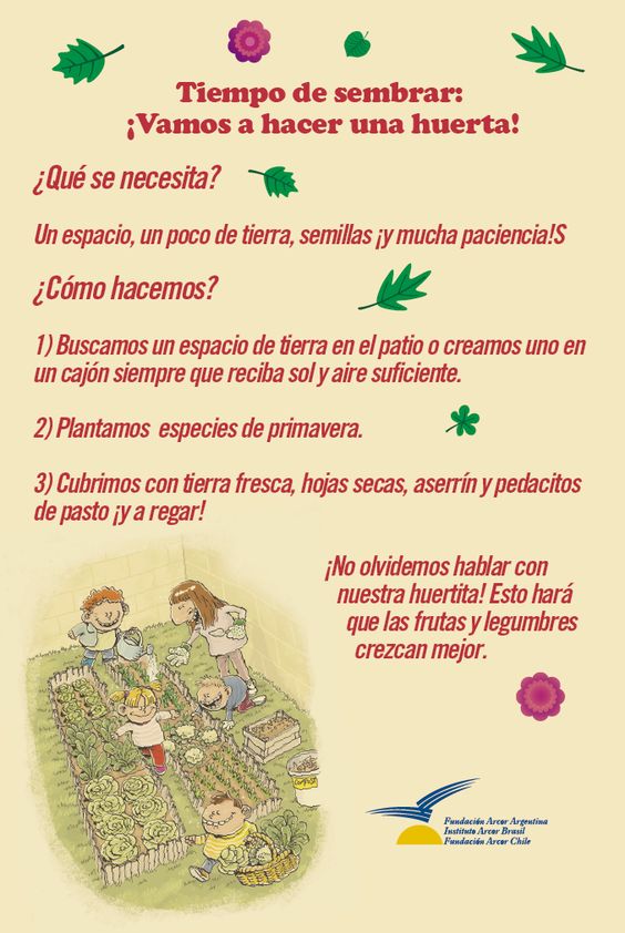 Creamos con la naturaleza IV