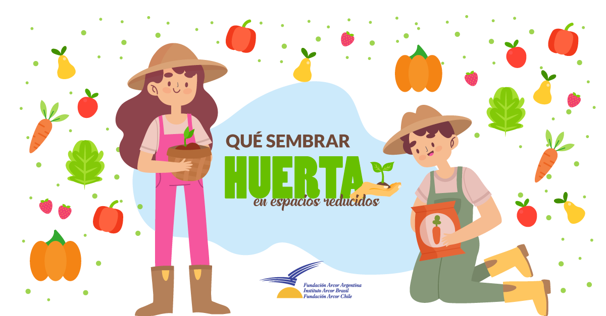 Qué sembrar en huertas de espacios reducidos