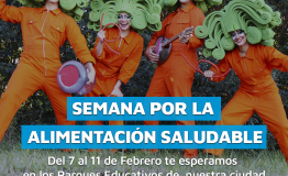 Alimentación Saludable