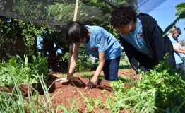 Puerto Iguazú. En el Instituto Esperanza cultivan su propia huerta.
